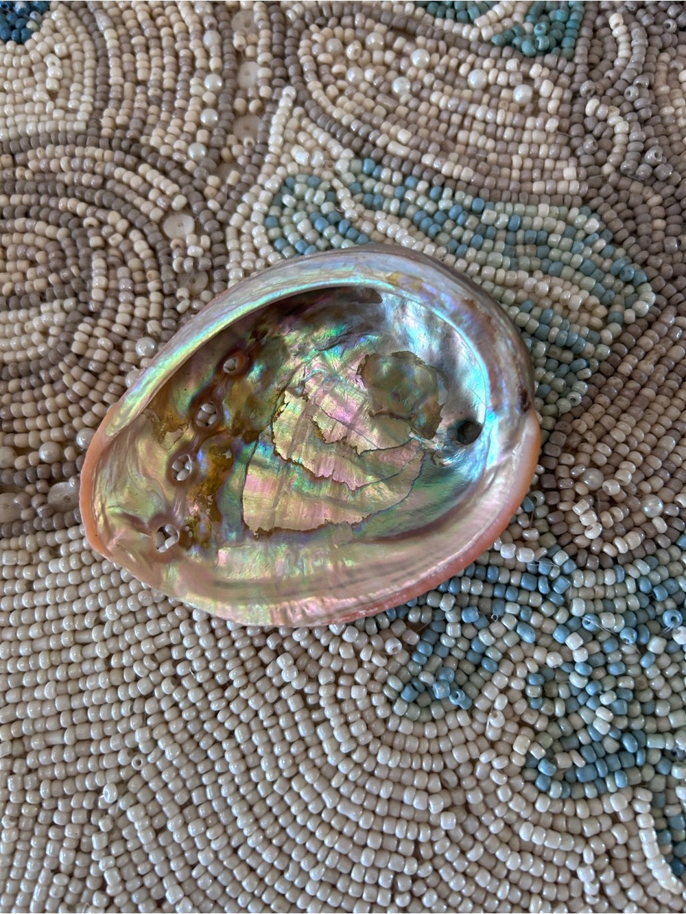 Iridescent Red Abalone Shell Dish